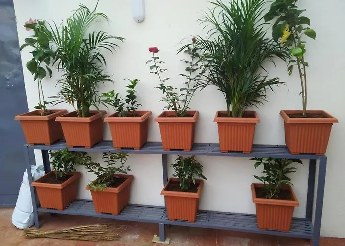 Anjani Suta Home Stay Bangalore